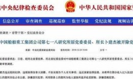 加拿大高管爆料视频最新,企业内幕与行业真相大曝光